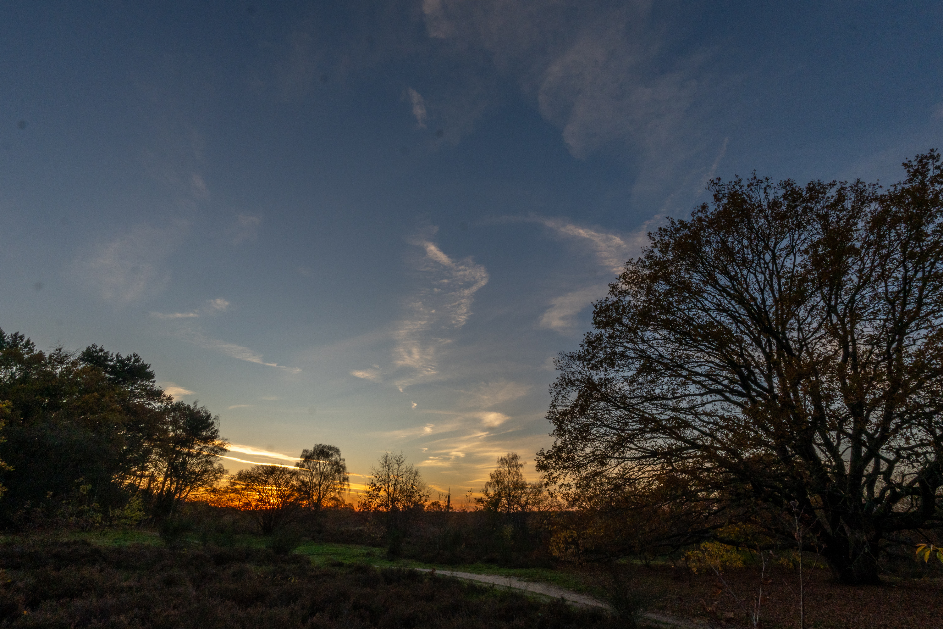 DSC06637-HDR.jpg