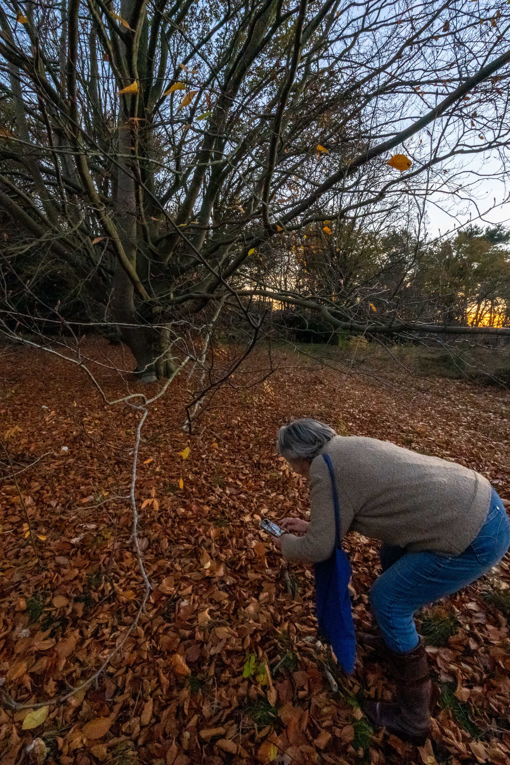 DSC06649-HDR.jpg