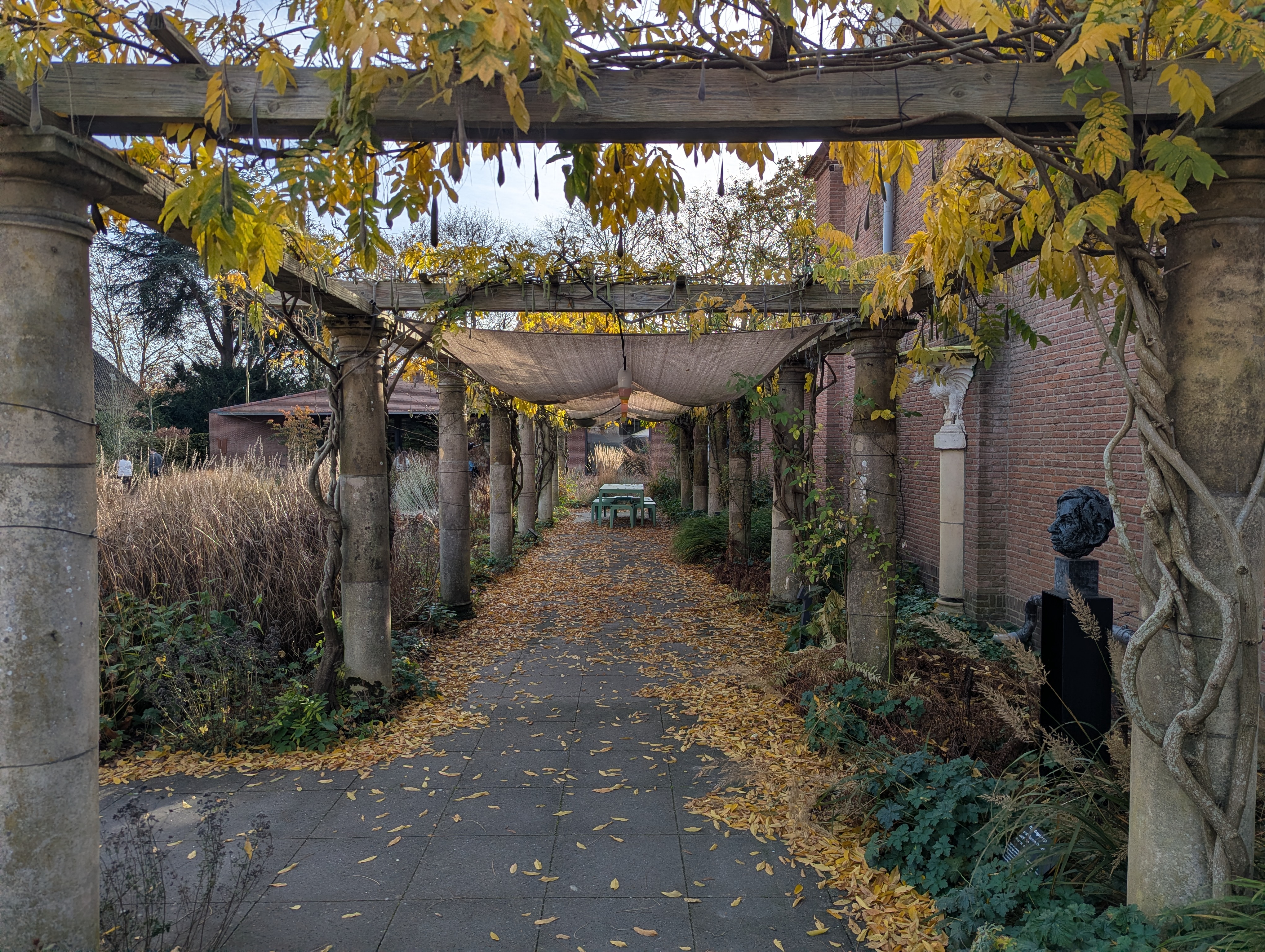 PXL_20251112_122841315.RAW-01.COVER.jpg