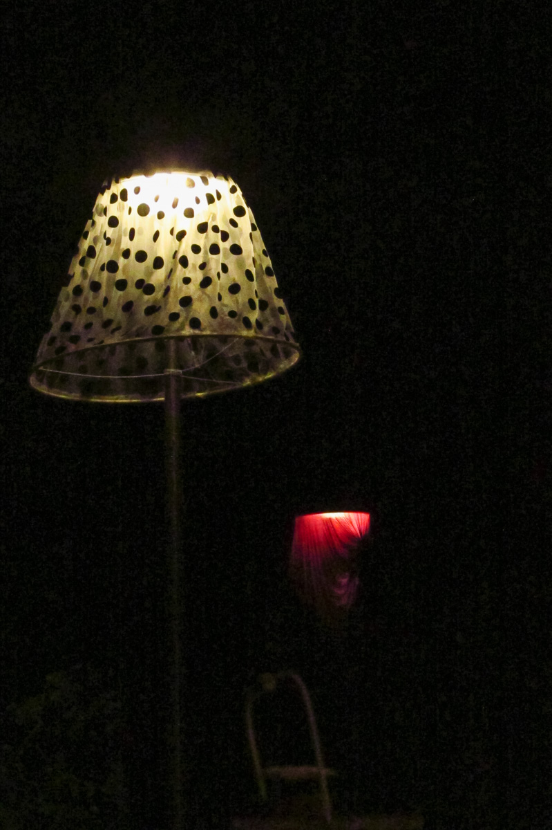 IMG_0063.jpg
