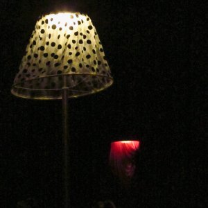 IMG_0063.jpg