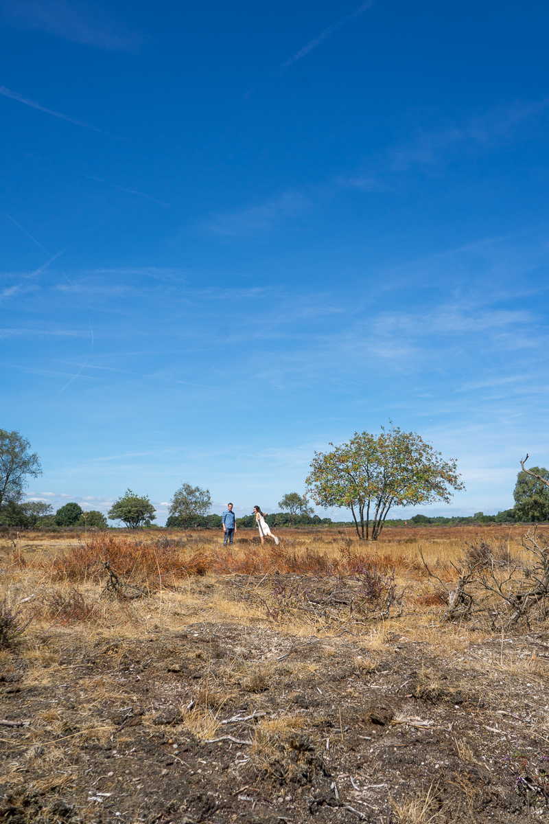 _DSC9985.jpg