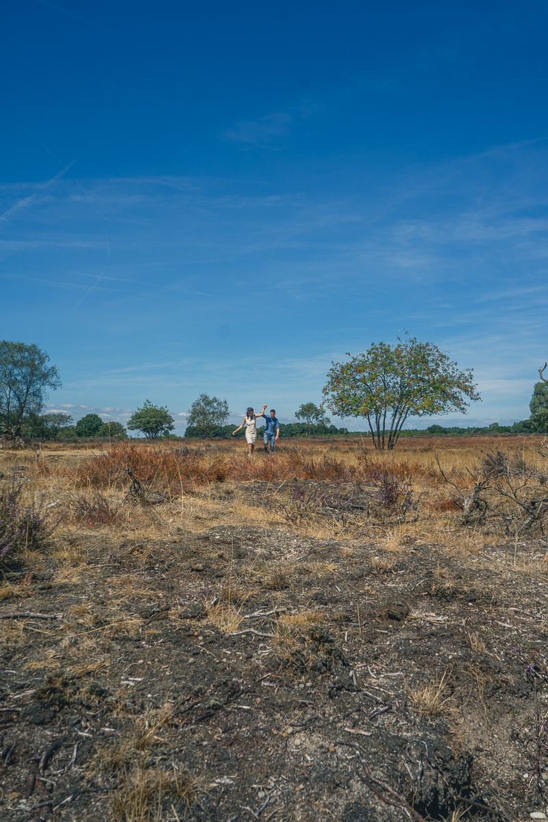 _DSC9993.jpg