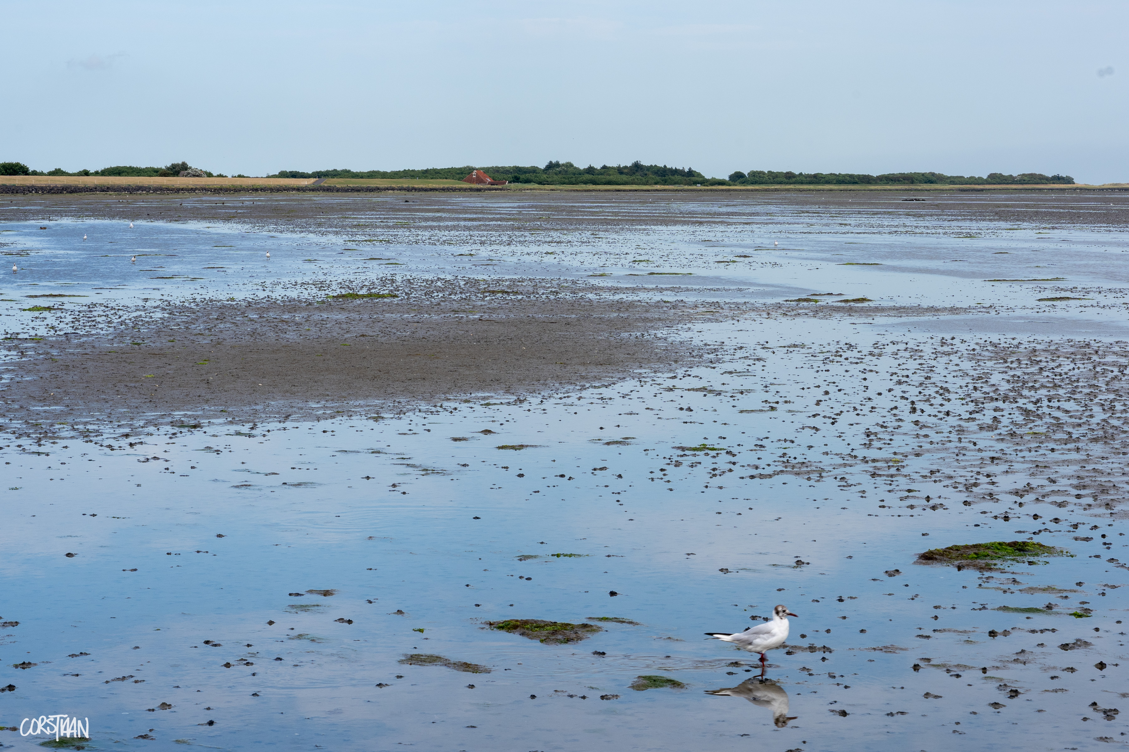 Tra26_Cors-66.jpg