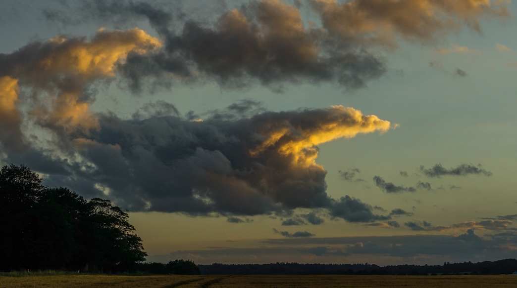 _DSC7010.jpg