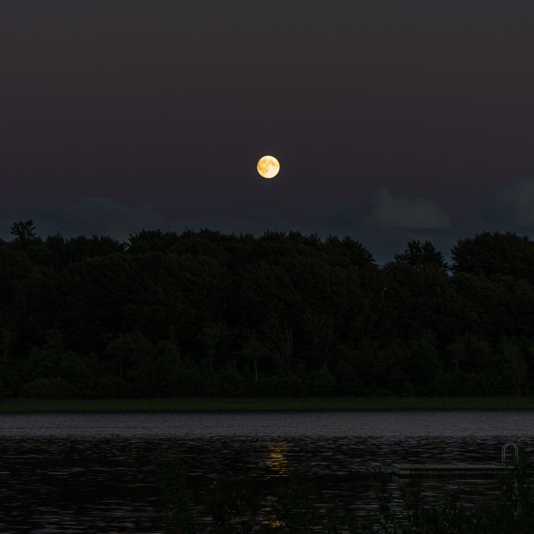_DSC7054.jpg