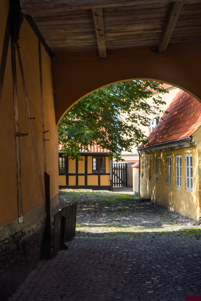 _DSC7233.jpg