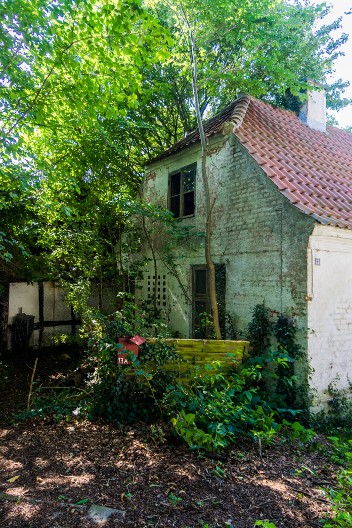 _DSC7242.jpg