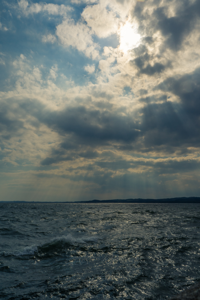 _DSC7272.jpg