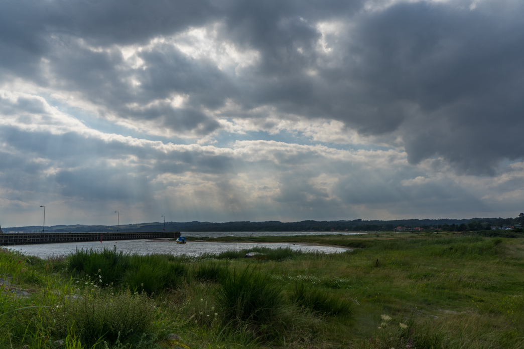 _DSC7273.jpg