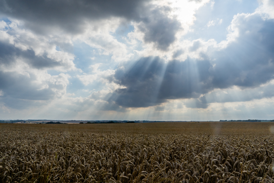 _DSC7283.jpg